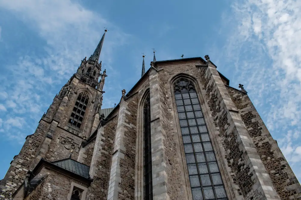 Daruji Koťata Brno
