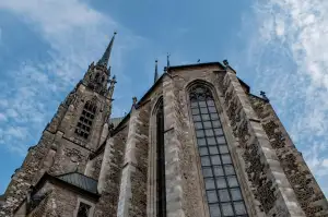 Daruji Koťata Brno